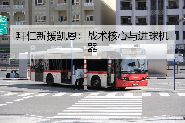 拜仁新援凯恩：战术核心与进球机器